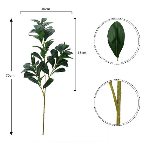 فرع أوراق المطاط الصناعي-Rubberleaf-001