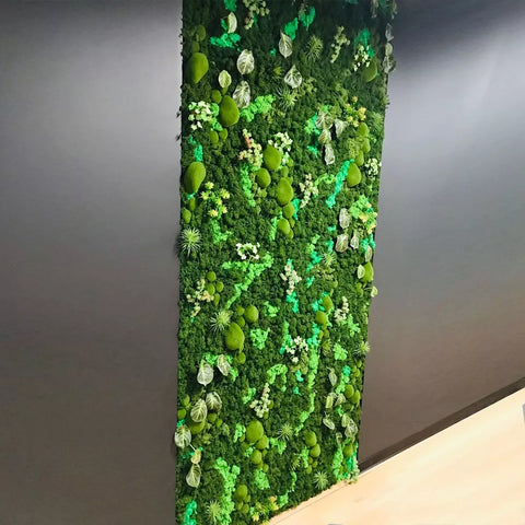 Fresh Moss Wall Decoration