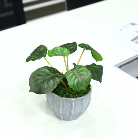 Faux Alocasia Plant for Stylish Home and Office Decoration