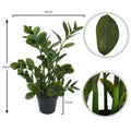 Faux Zamioculcas plant for indoor decoration