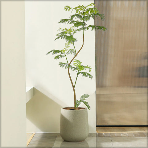 Artificial Jacaranda Mimosifolia Plant