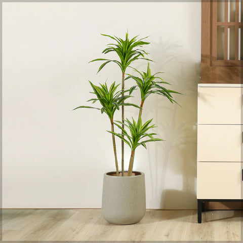 Faux Dracaena Plant 160cm Tall