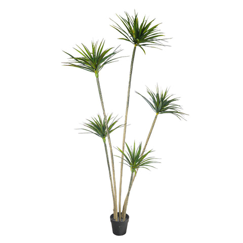 Faux Dracaena for Indoor Decoration