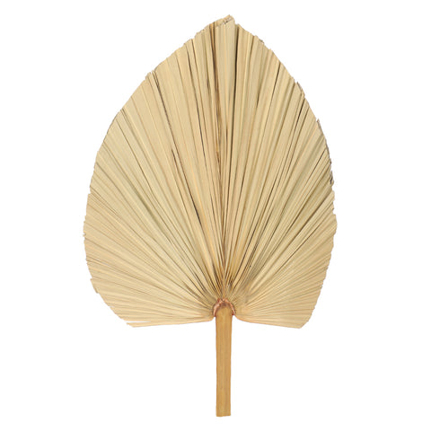 Natural Dried Palm Leaf