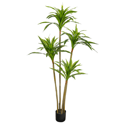 Faux Dracaena Plant 160cm Tall