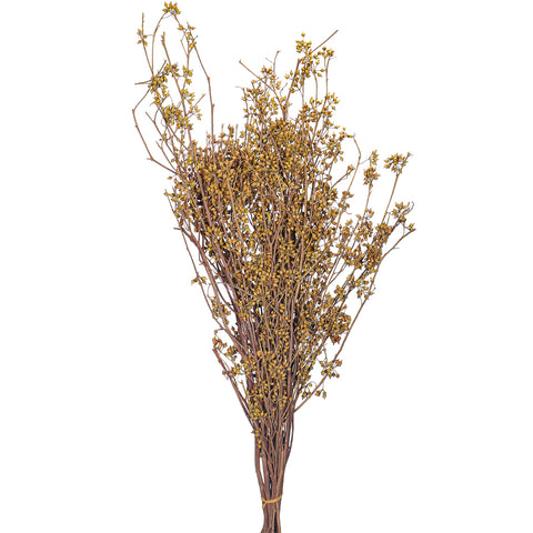 Natural Dried Preserved Millet Flower Bunch