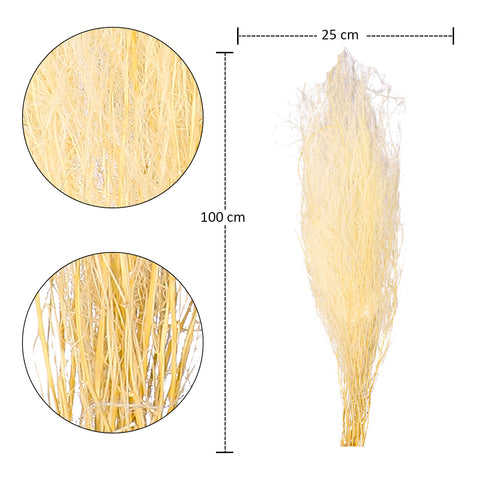 Natural Preserved White Dried Grass