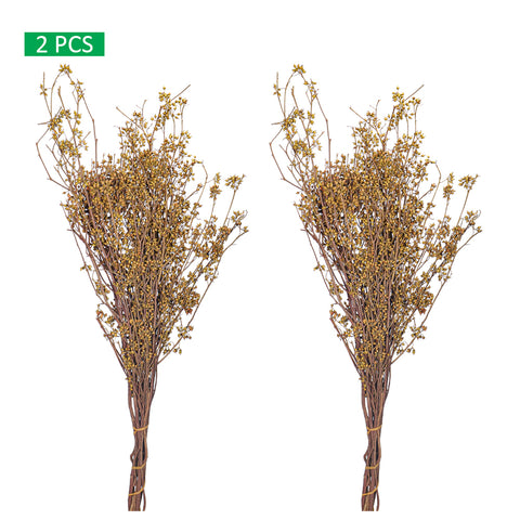 Natural Dried Preserved Millet Flower Bunch