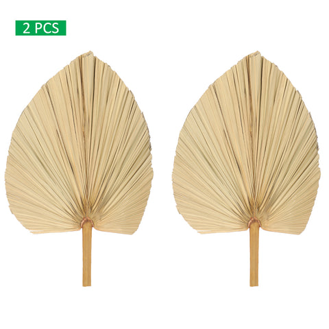 Natural Dried Palm Leaf