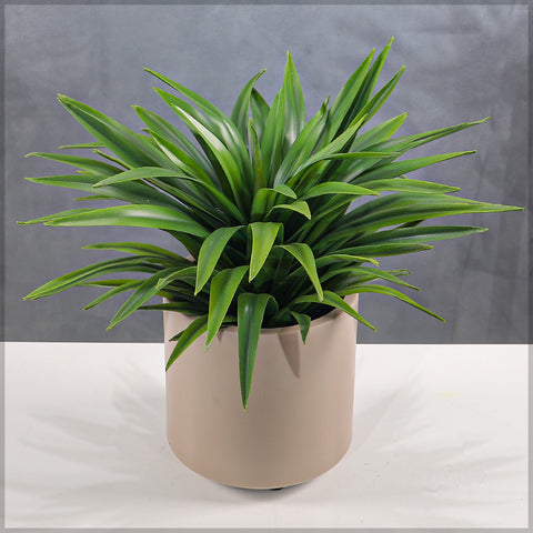 Artificial Potted Adams Needle Plant