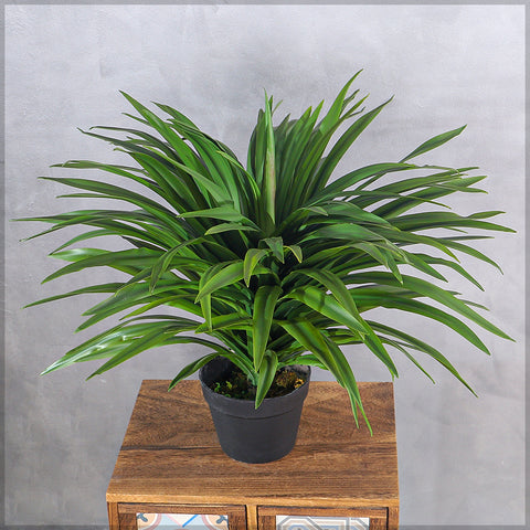 Artificial Adams Needle Plant for Office Decoration