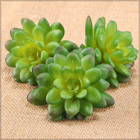 Realistic lotus flower succulent