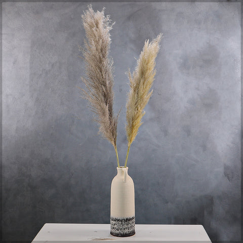 Natural Dried Pampas Grass