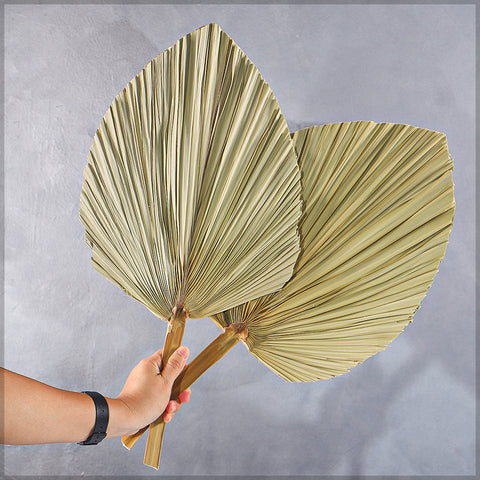 Natural Dried Palm Leaf