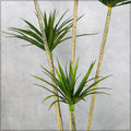 Dracaena Fake Plant for Home Decor