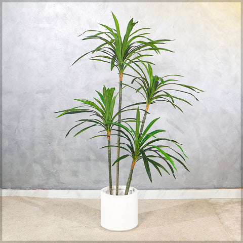 Realistic Artificial Dracaena Tree for Modern Spaces