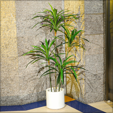 Realistic Artificial Dracaena Tree for Lush Spaces