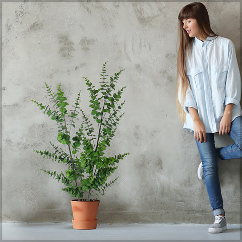 Decorative Artificial Eucalyptus Plant 120cm Tall