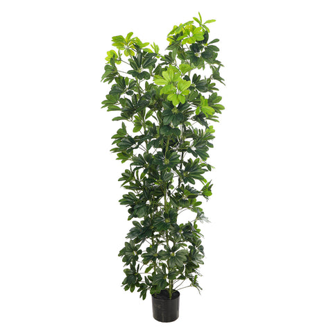 Artificial Schefflera Arboricola Plant