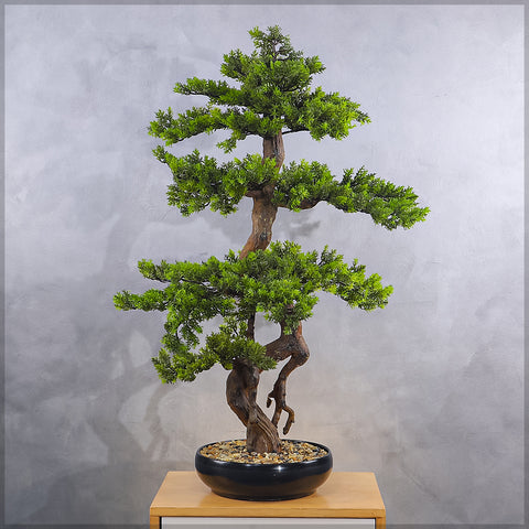 Artificial Potted Cedar Bonsai Plant