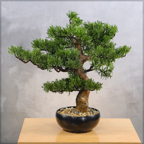 Artificial Potted Cedar Bonsai Plant