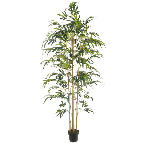 Faux Bamboo Plant 2m Tall