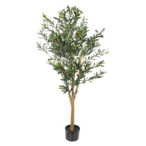 Faux Potted Olive Plant