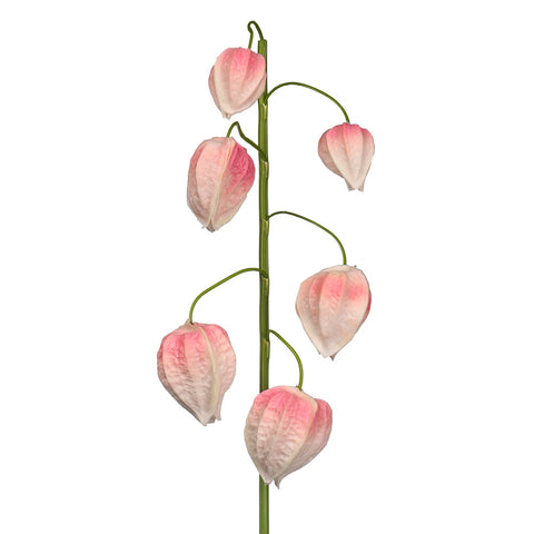 3Pcs Artificial Physalis Lantern Flower