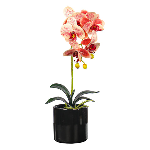 Artificial Potted Orchid Flowers Multicolor