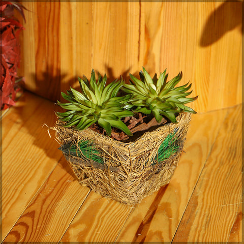 Astonishing Raffia Basket Planter box