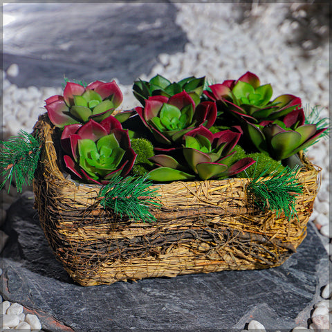 Astonishing Raffia Basket Planter box