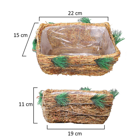 Astonishing Raffia Basket Planter box