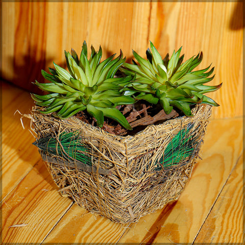 Astonishing Raffia Basket Planter box