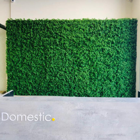 Front Office Grass Wall Panels