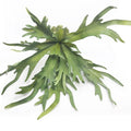 Decorative Faux Artemisia Foliage for Modern Home Styling