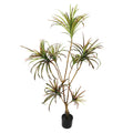 Realistic slim yucca artificial plant for modern interiors