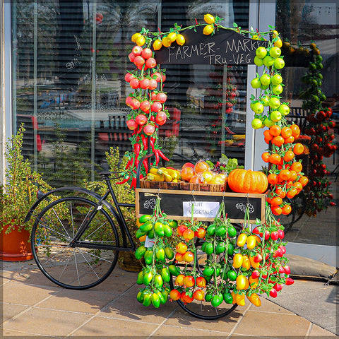 Decorative Metal Display Bicycle