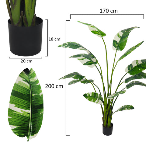 Faux tropical banana tree 200cm high in a modern office setting