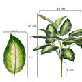 Decorative Dieffenbachia leaves