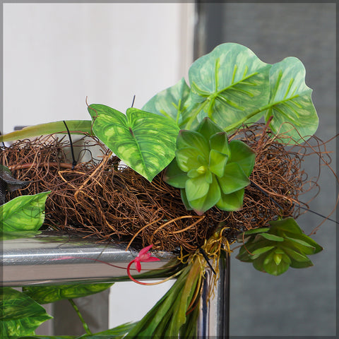 Natural Dried Rattan