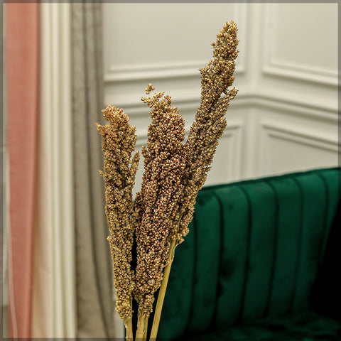 2pcs Natural Dried Sorghum Flower