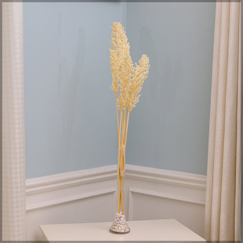 2pcs Natural Dried Sorghum Flower