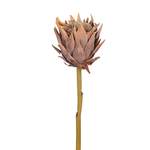 Artificial Dried Protea Flower