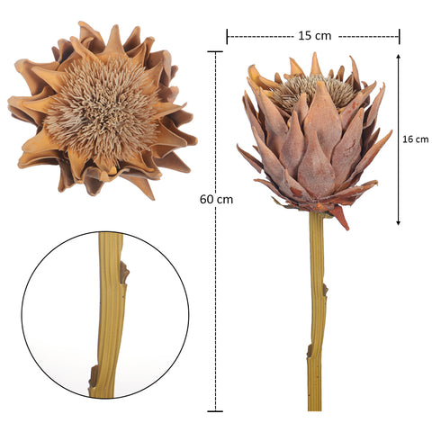 Artificial Dried Protea Flower