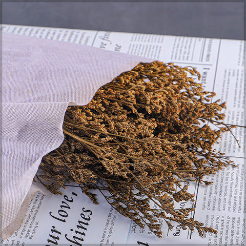 Dried German Statice Flower