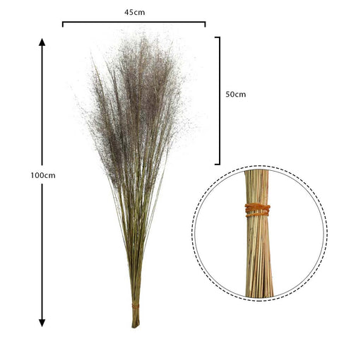 Natural Dried Grass