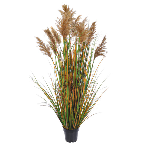 Decorative Artificial Grass Plant with Natural Dried Pampas Flower