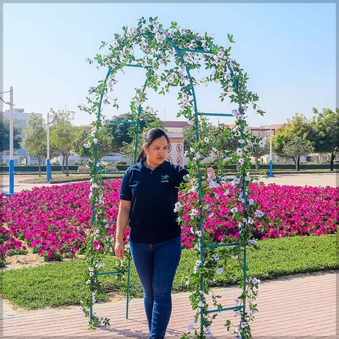 Garden arch, Decorative garden arch