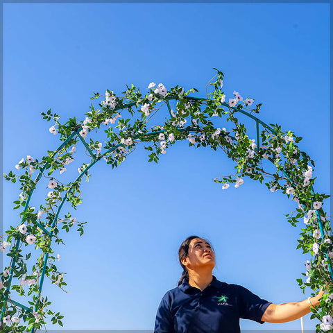 Garden arch, Decorative garden arch