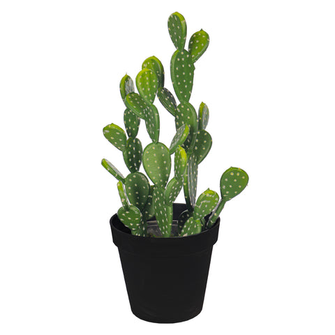 Realistic ear cactus plant for home decor